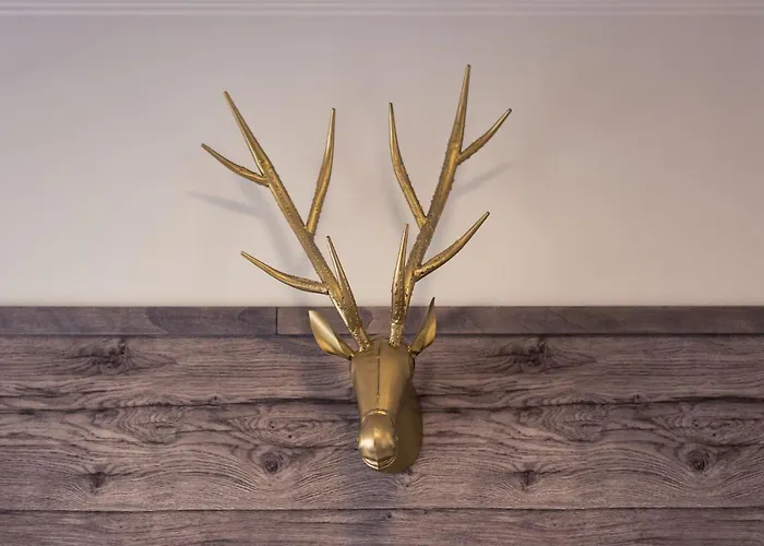 Chelsea 3* סדריה